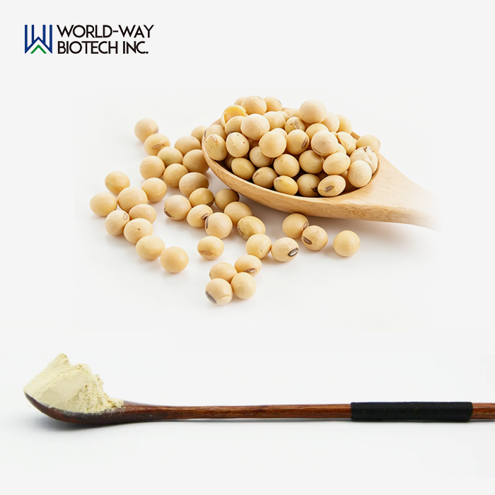 Soy Extract Powder Soy Extract Powder